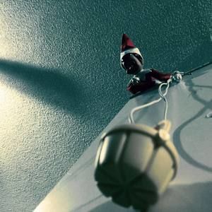 Meet your Posher, Desiree